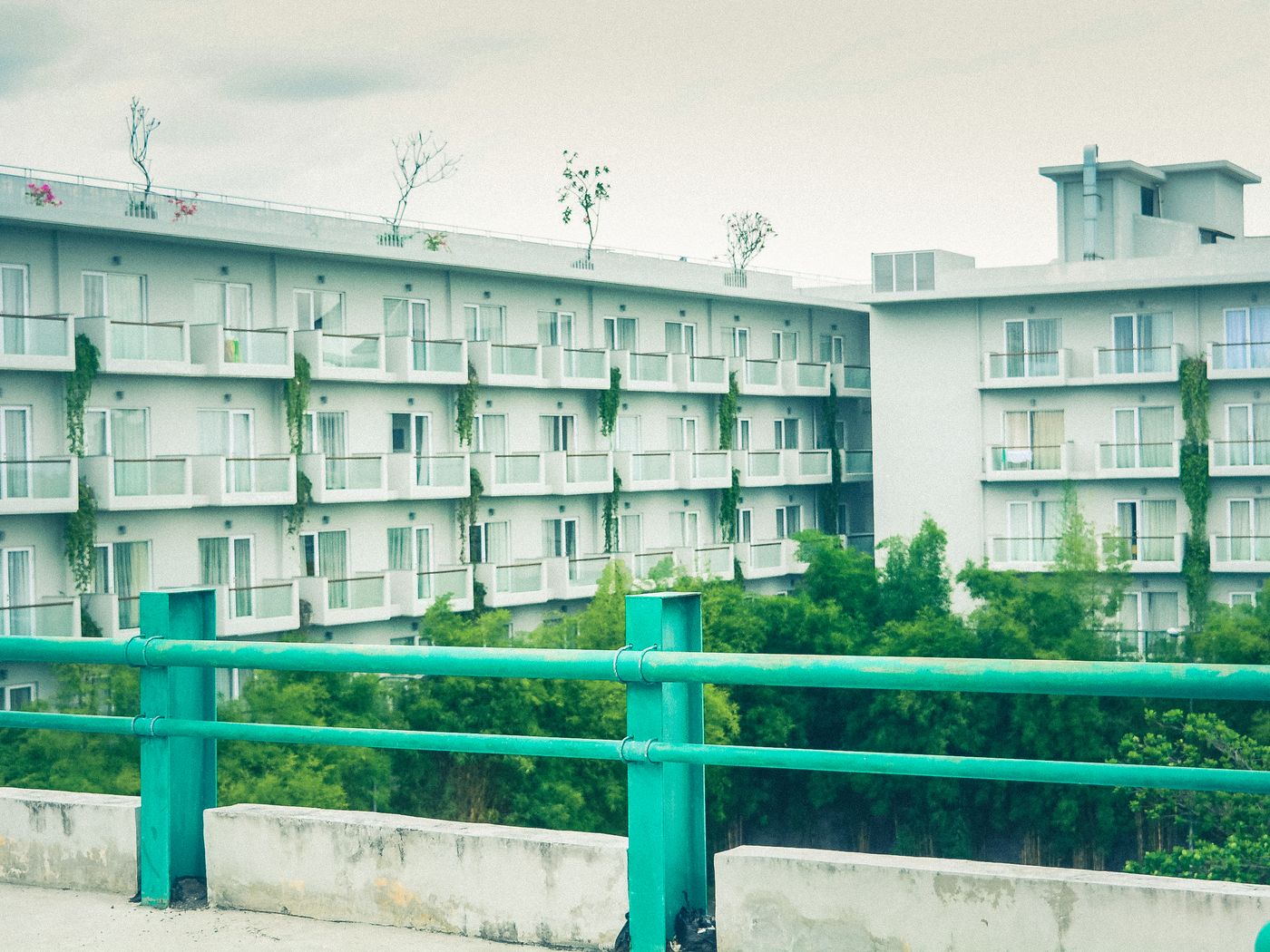 Ozelenjen mestni balkon s cvetjem v Ljubljani